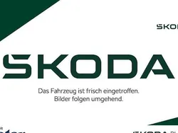 Grau Gebraucht 2020 Skoda Octavia Tour Kombi | 17.950 € (Guter Preis)
