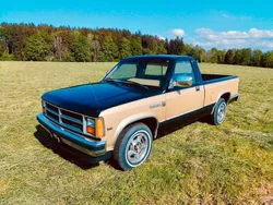 Gebraucht 1987 Dodge Dakota SUV | 11.850 €