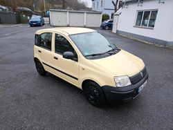 Gelb Gebraucht 2009 Fiat Panda Kleinwagen | 1.499 € (Guter Preis)