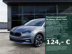 Grau Neu 2025 Skoda Fabia Tour Limousine | 24.990 € (Fairer Preis)