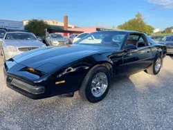 Schwarz Gebraucht 1989 Pontiac Firebird Coupé | 8.000 €