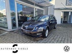 Schwarzmagic Gebraucht 2019 Skoda Octavia Style Kombi | 19.980 € (Fairer Preis)