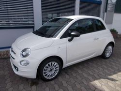 Gelato weiß Gebraucht 2023 Fiat 500 Limousine | 16.490 € (Teuer)