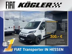 Weiß Neu 2025 Fiat Ducato Van | 33.340 € (Fairer Preis)