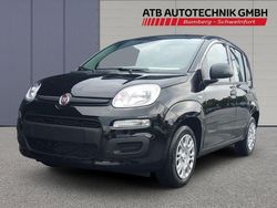 Schwarz Neu 2025 Fiat Panda Kleinwagen | 15.590 € (Fairer Preis)