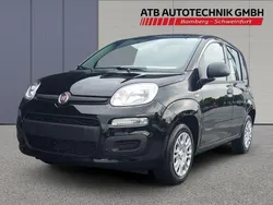 Schwarz Neu 2025 Fiat Panda Kleinwagen | 15.490 € (Fairer Preis)