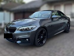 Grau Gebraucht 2019 BMW 218 M Sport Coupé | 23.900 € (Teuer)
