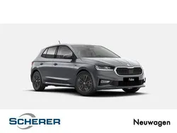 Grau Neu 2025 Skoda Fabia Tour Limousine | 21.730 € (Etwas zu teuer)