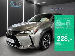Sonic titanium Gebraucht 2021 Lexus UX 250h SUV | 23.940 € (Superpreis)