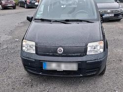 Schwarz Gebraucht 2009 Fiat Panda Kleinwagen | 1.600 € (Fairer Preis)