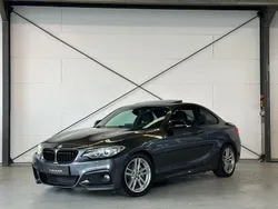 Grau Gebraucht 2014 BMW 225 M Sport Coupé | 15.490 € (Etwas zu teuer)