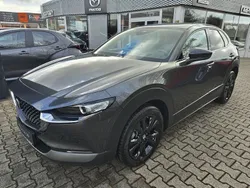 Machine gray Neu 2025 Mazda CX-30 Homura-Line SUV | 30.990 €