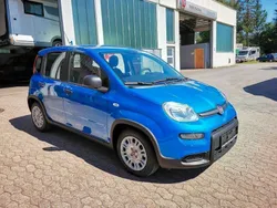 Blau Neu 2024 Fiat Panda Kleinwagen | 13.790 € (Guter Preis)