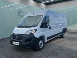 Weiß Gebraucht 2024 Fiat Ducato Van | 29.749 € (Superpreis)