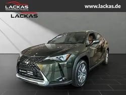 Grün Neu 2025 Lexus UX 300e Executive Line SUV | 41.990 € (Fairer Preis)