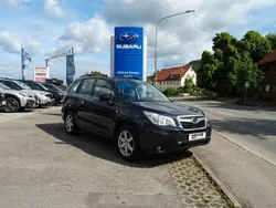Grau Gebraucht 2014 Subaru Forester Active SUV | 11.500 € (Fairer Preis)
