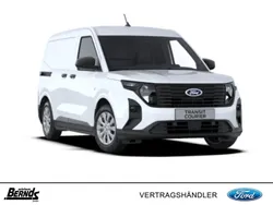 Frozen white Neu 2024 Ford Transit Trend Van / Kleinbus | 21.990 € (Guter Preis)