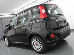 Schwarz Gebraucht 2022 Fiat Panda Limousine | 12.799 € (Etwas zu teuer)