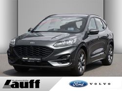 Grau Gebraucht 2023 Ford Kuga ST-Line SUV | 28.990 € (Etwas zu teuer)