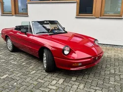 Rot Gebraucht 1984 Alfa Romeo Spider Cabrio | 24.000 €