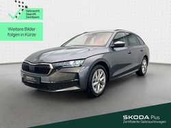Graphitegrau metallic Gebraucht 2024 Skoda Octavia Selection Kombi | 29.999 € (Fairer Preis)