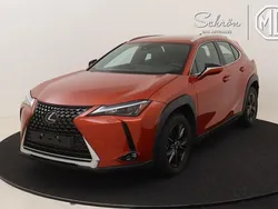 Gebraucht 2024 Lexus UX 250h SUV | 32.448 € (Fairer Preis)
