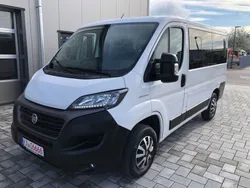 Weiß Gebraucht 2020 Fiat Ducato Van | 17.900 € (Etwas zu teuer)
