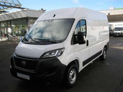 Weiss (pastell)) Neu 2025 Fiat Ducato Van | 28.999 € (Fairer Preis)