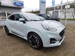 Catus grey Neu 2025 Ford Puma ST-Line X SUV | 27.690 € (Fairer Preis)