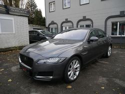 Grau Gebraucht 2016 Jaguar XF Portfolio Limousine | 13.950 €