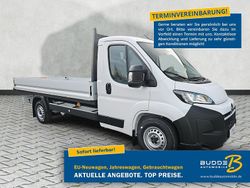 Cassablancaweiß Neu 2025 Opel Movano Van | 29.990 € (Guter Preis)
