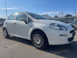 Weiß Gebraucht 2017 Fiat Punto Kleinwagen | 5.900 € (Fairer Preis)