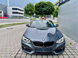 Grau Gebraucht 2015 BMW 220 Cabrio | 18.999 € (Fairer Preis)