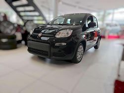 Schwarz Neu 2024 Fiat Panda Kleinwagen | 12.990 € (Guter Preis)