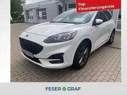 Arktisweiß (metallic) Gebraucht 2020 Ford Kuga SUV | 21.450 € (Guter Preis)
