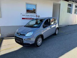 Grau Gebraucht 2023 Fiat Panda Kleinwagen | 13.490 € (Etwas zu teuer)