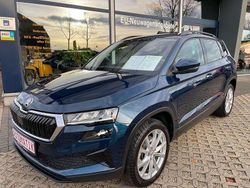 Blau Gebraucht 2024 Skoda Karoq Style SUV | 29.990 € (Guter Preis)