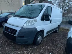 Weiß Gebraucht 2007 Fiat Ducato Van | 2.299 € (Superpreis)