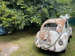 Weiß Gebraucht 1955 VW Käfer Limousine | 5.200 €