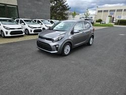 Grau Gebraucht 2024 Kia Picanto Vision Kleinwagen | 14.490 € (Guter Preis)