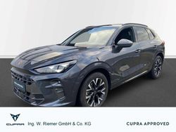 Grau Gebraucht 2025 Cupra Terramar SUV | 34.389 € (Guter Preis)