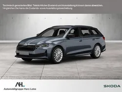 Grau Gebraucht 2024 Skoda Octavia Selection Kombi | 33.440 € (Fairer Preis)