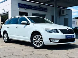 Weiss Gebraucht 2016 Skoda Octavia Kombi | 7.290 € (Guter Preis)
