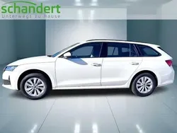 Candyweiß (weiß) Neu 2025 Skoda Octavia Essence Kombi | 29.450 € (Guter Preis)