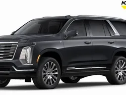 Grau Neu 2025 Cadillac Escalade SUV | 151.400 €