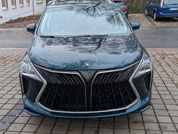 Grün Gebraucht 2023 DFSK Forthing 4 Van / Kleinbus | 19.000 €