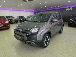 Grau Gebraucht 2023 Fiat Panda Kleinwagen | 11.990 € (Guter Preis)