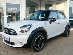 Mini Black Pepper Countryman
