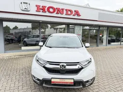 Weiß Gebraucht 2019 Honda CR-V Elegance SUV | 22.990 € (Fairer Preis)