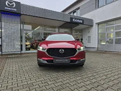 Rot Gebraucht 2024 Mazda CX-30 Homura-Line SUV | 30.860 € (Superpreis)